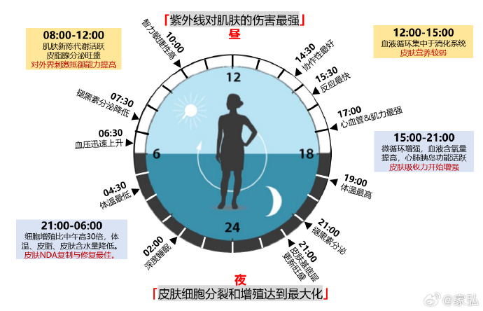 昼夜节律紊乱对健康的潜在影响