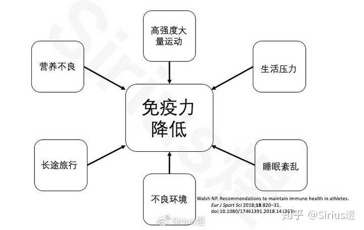 疫情后提升免疫力的关键策略