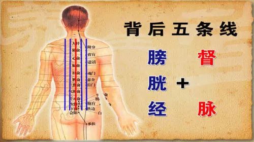 中医艾灸缓解背部疼痛的方法探究