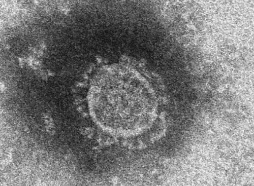 日本流感治疗经历深度探究，游客分享的经验与启示