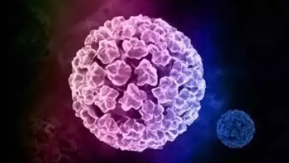 男子因医疗误判误诊感染HPV，积蓄耗尽引发反思与启示