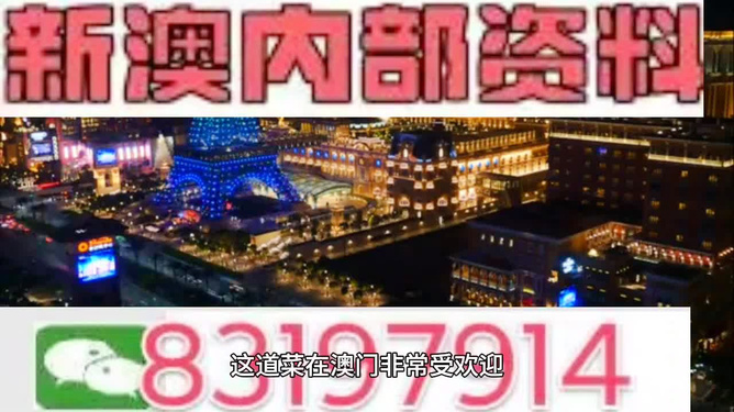 新澳2024资料免费大全版,专家意见解析_高级版63.751