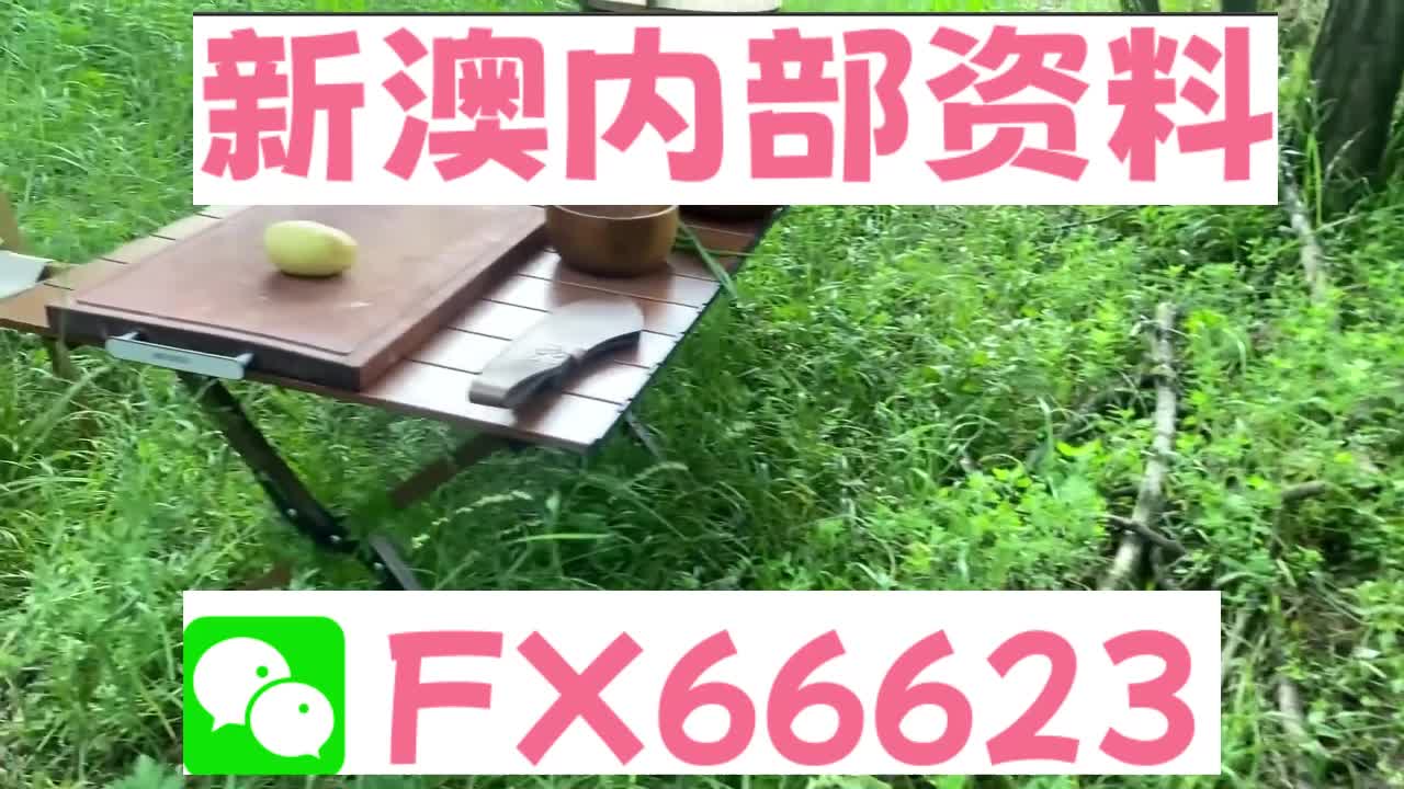 新澳资料免费精准期期准,深入解析应用数据_基础版66.992