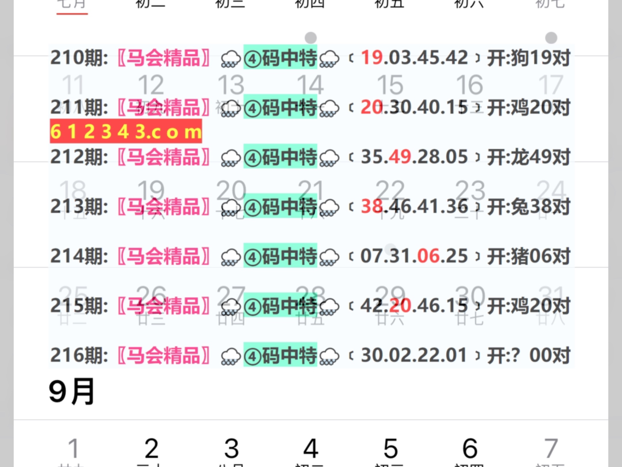 2O24年今晚新奥门开什么码,动态分析解释定义_XT66.379