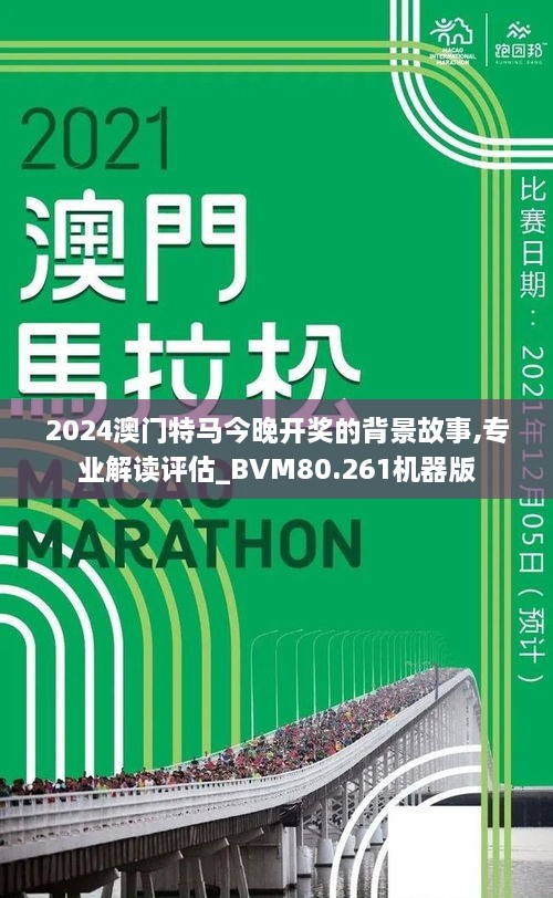 2024特马今晚开奖,完善系统评估_定制版89.919