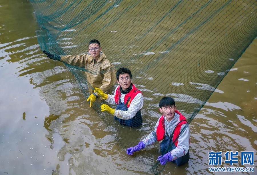 连续十年高校湖畔捞鱼活动，传统实践的意义与价值探索