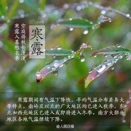 寒露节气物候特征深度解析