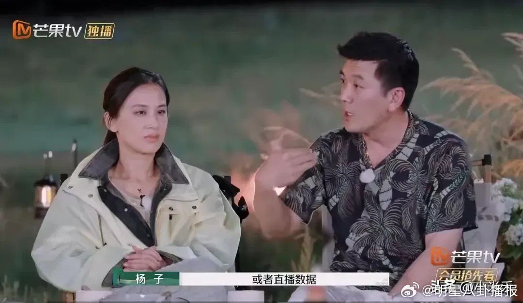 杨子开车窗报复麦琳事件，背后故事与反思