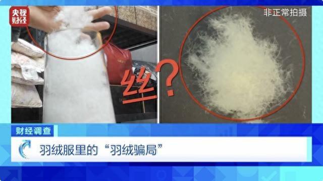 央视揭秘羽绒骗局，警惕虚假宣传，守护消费者权益安全