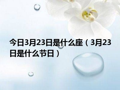 探寻神秘节日，2月31日究竟是何节日？