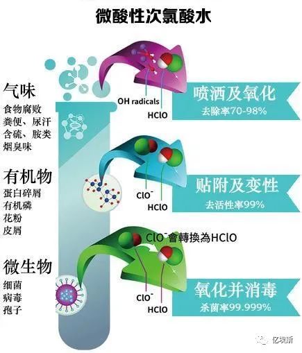 柚子伴我 第16页