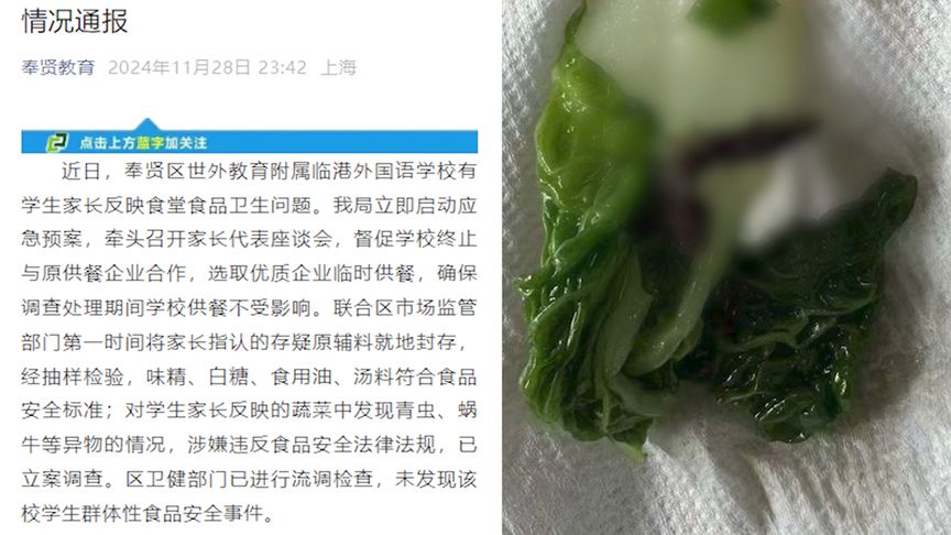 上海学校食堂食品安全问题敲响警钟，惊现青虫蜗牛事件曝光