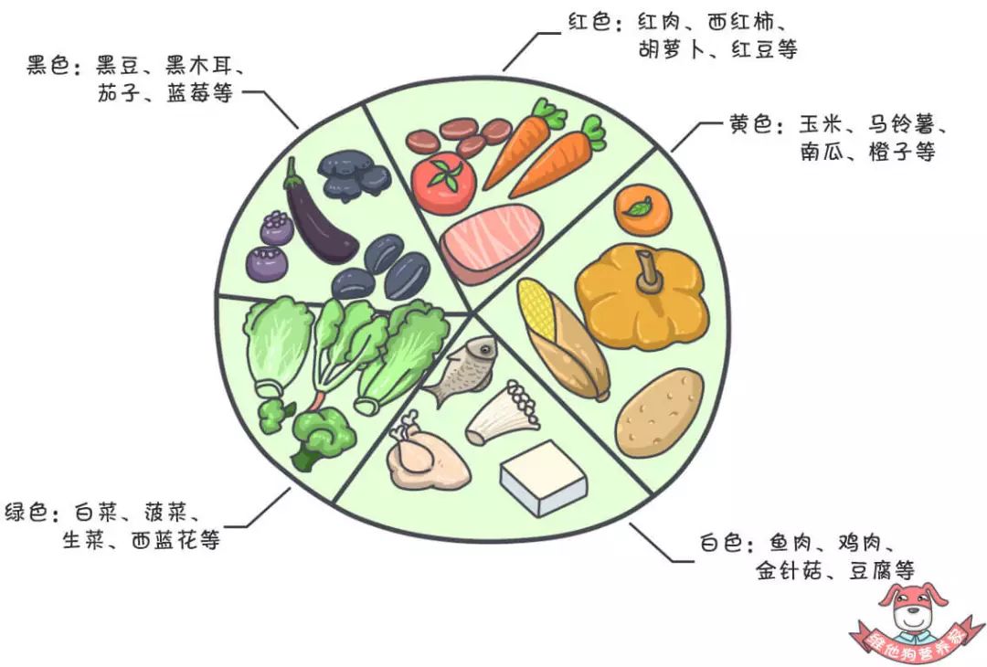 探讨清淡饮食是否适合所有年龄段的健康需求