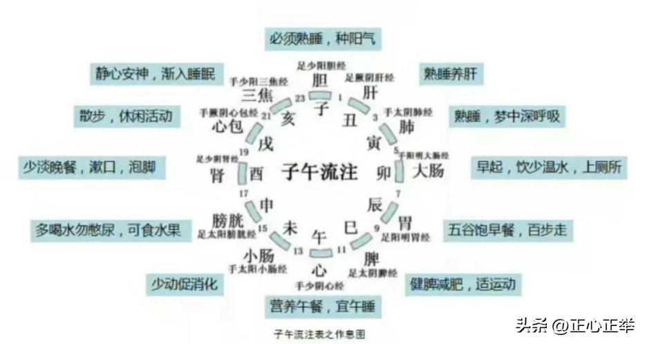 规律作息，实现高效养生的秘诀