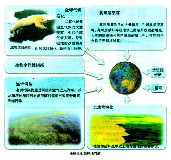 全球生物多样性保护的难点及对策解析