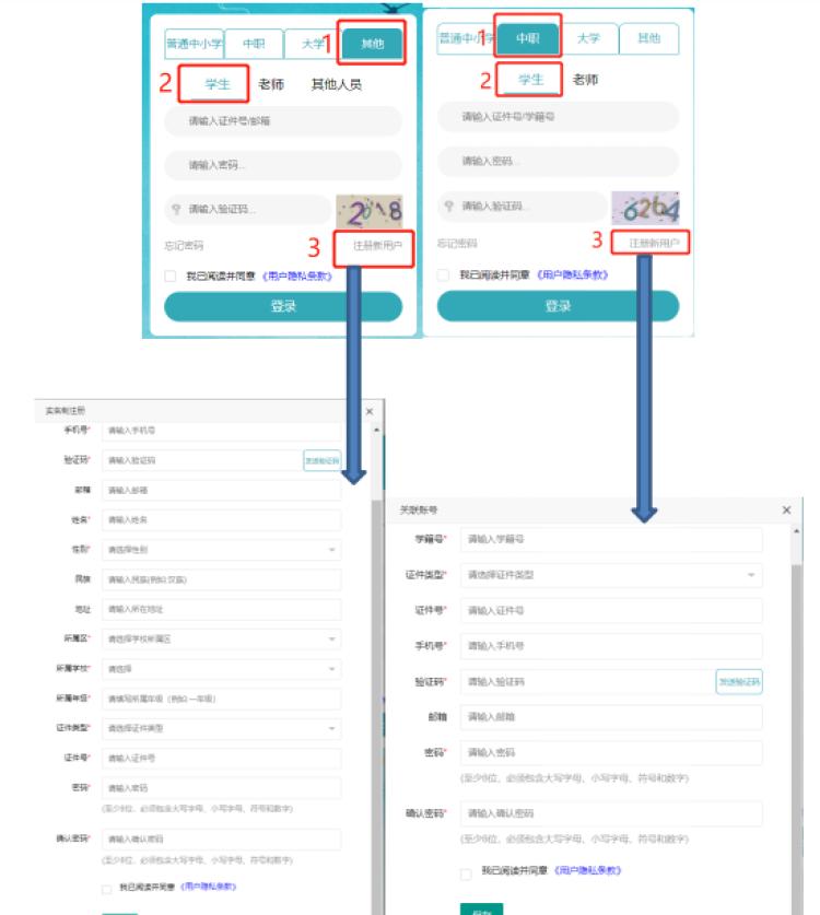 线上教育课程丰富助力学科素质同步提升