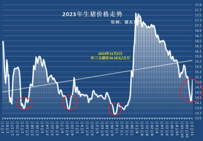 深度解析，猪肉价格上涨态势背后的原因及其影响