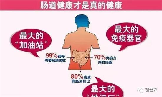 中医养生法，提升肠道健康之道