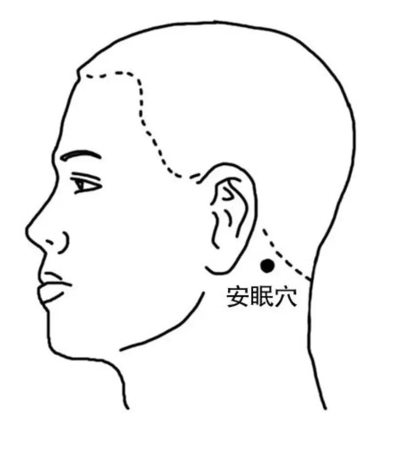 中医自然疗法养生之道与应用探索