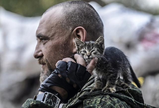 乌男子逃兵役躲猫取暖奇迹生还