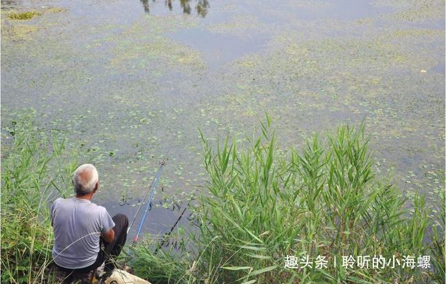 慈悲与环保，两老人在河边放生大米的故事