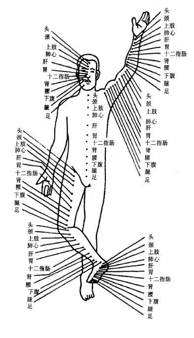 中医经络理论与日常按摩应用方法详解