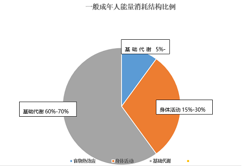 适合慢性病患者的低强度运动康复计划