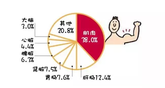 养生食谱，助力新陈代谢提升秘籍