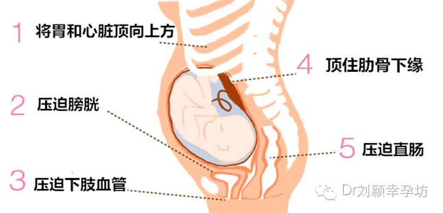 食疗助力提升生育力