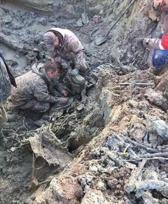 揭秘失联男飞行员神秘旅程，探寻真相之路