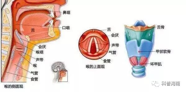 预约幕後︶ 第11页