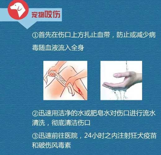 家庭急救指南，应对打伤伤口的处理方法