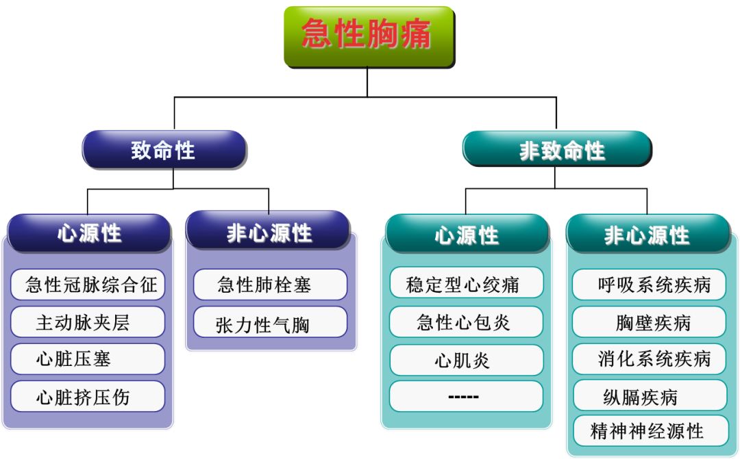 急性胸痛急救措施与处理技巧全解析