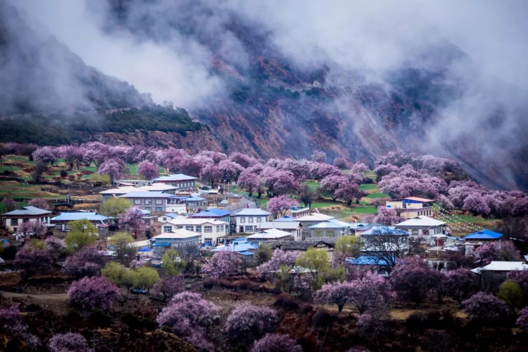 旅行中预防过敏反应的有效措施指南