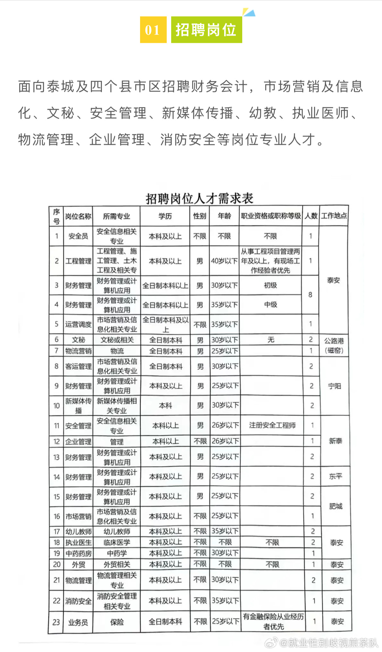 信息技术考编招聘要求，构建高效专业团队的核心要素解析