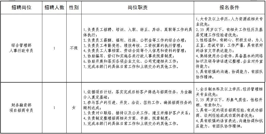 审计岗位招聘要点与专业团队构建关键要素解析