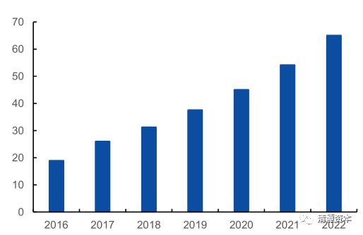 抗癌博主的生命告别，2024年最后一天的离别