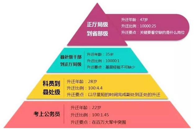 事业编制报考官网，全面探索与深度解析