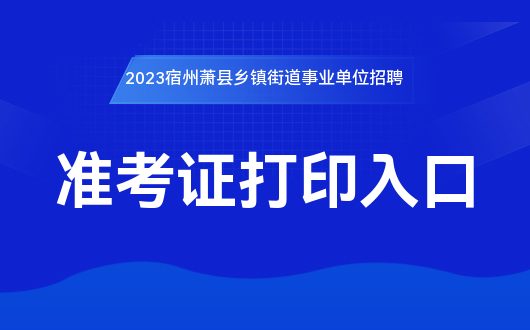 乡镇事业单位定向招聘，策略、影响及未来前景探讨