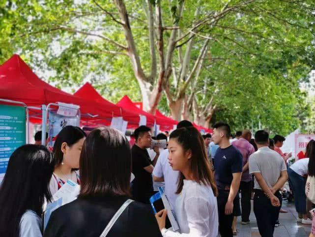 事业单位医疗岗招聘，重塑公共卫生服务体系的重要一环