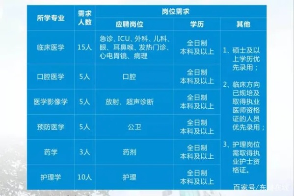 医疗编制岗位招聘全面解析与实用指南，信息查找途径详解