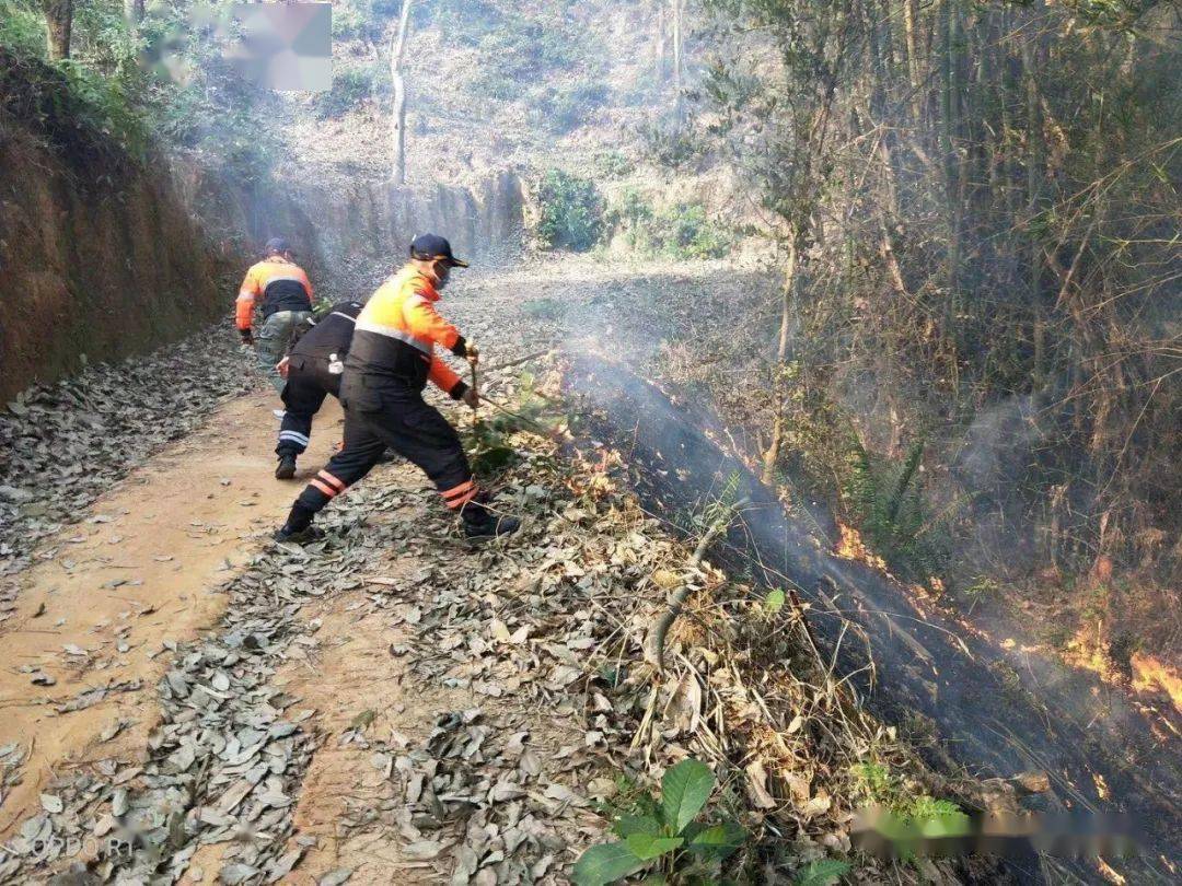 广东肇庆山火挑战与应对策略