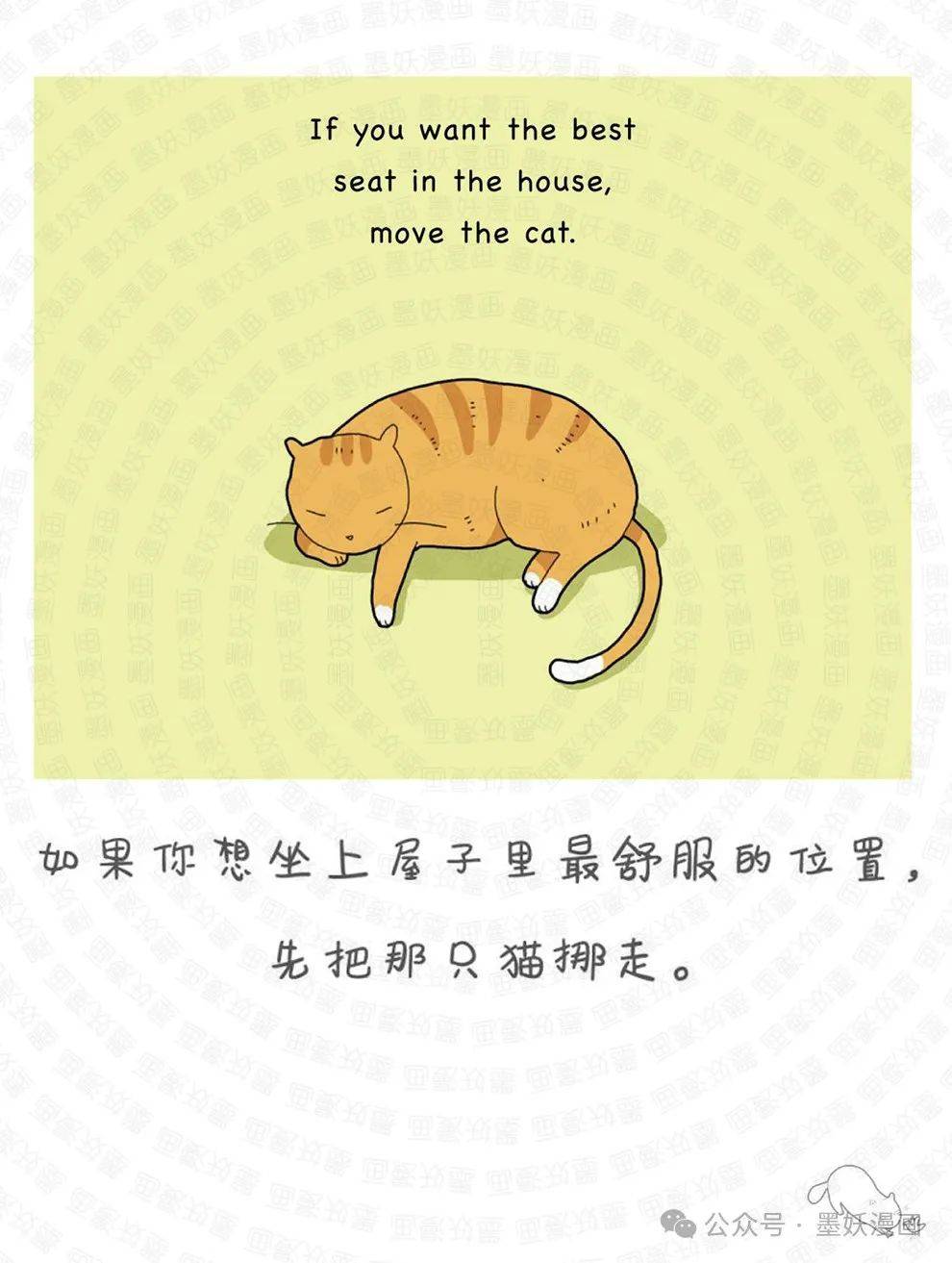 猫吸正能量，温暖的力量传递者