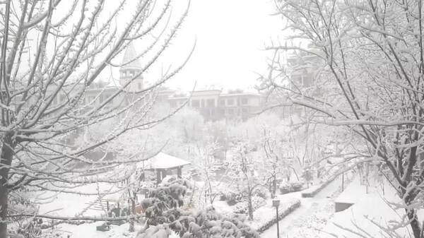 烟台鹅毛大雪纷飞，自然美景壮丽展现