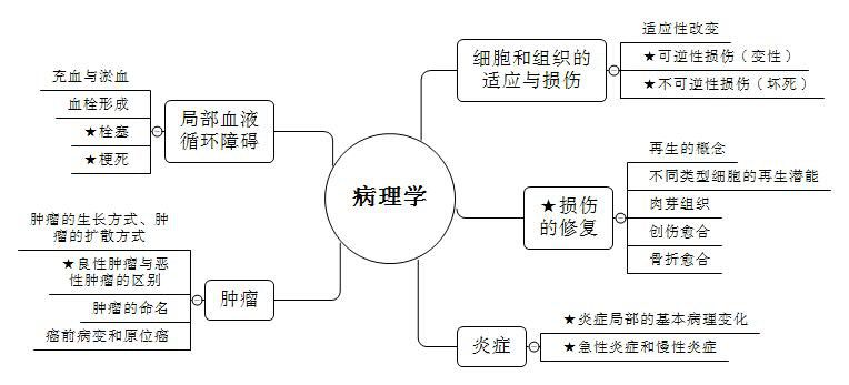 2025年1月20日 第4页