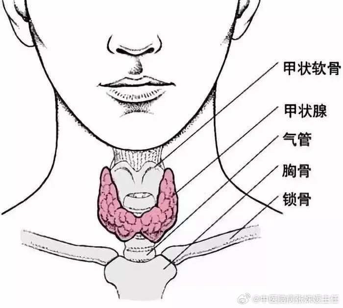 甲状腺健康者的日常习惯，维护健康甲状腺的生活方式