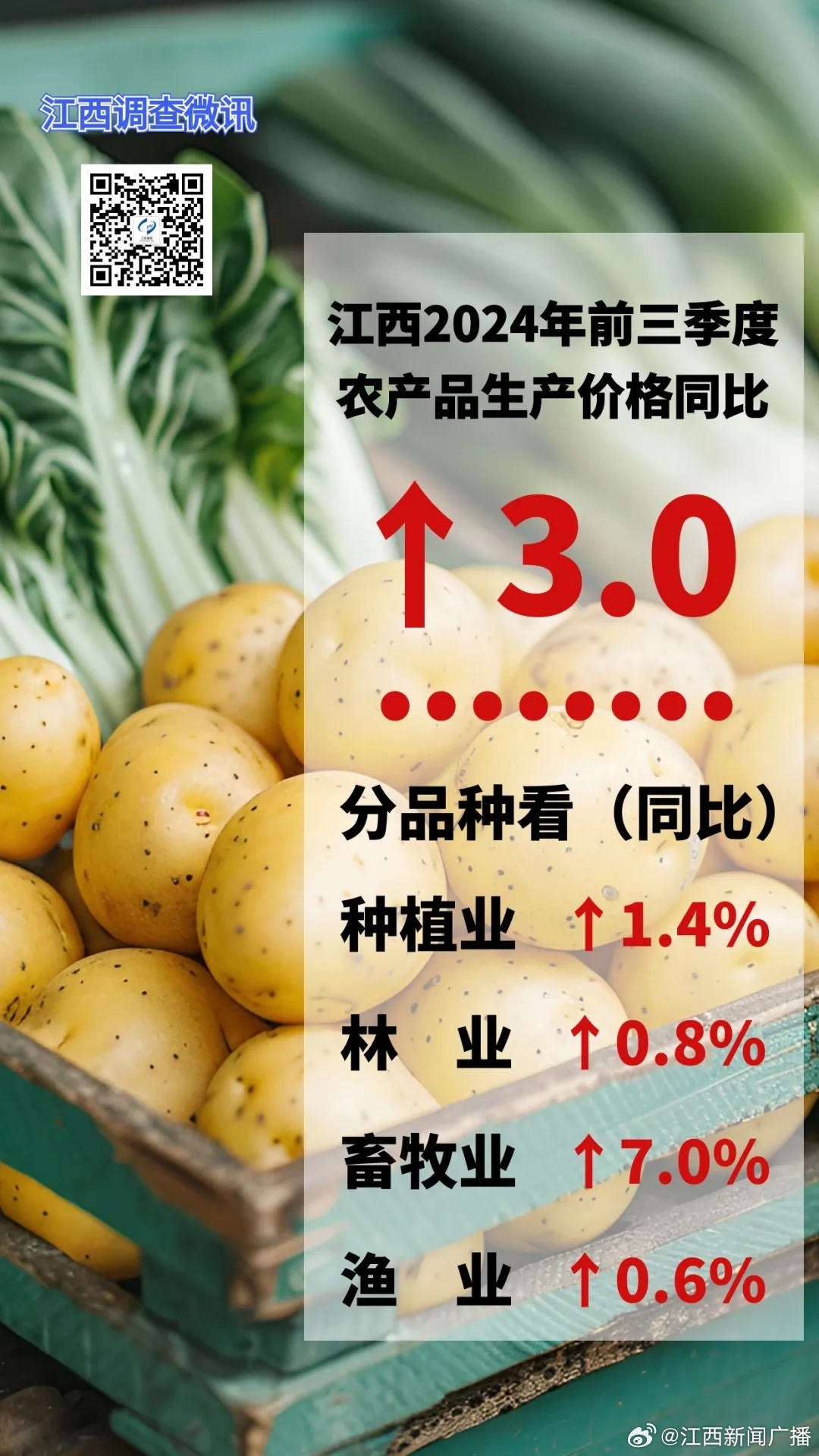 江西农产品价格上涨趋势分析，涨幅达2.3%的背后原因、影响及启示