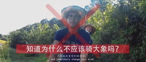 小伙罗马许愿视频惊魂，15分钟失窃两千元